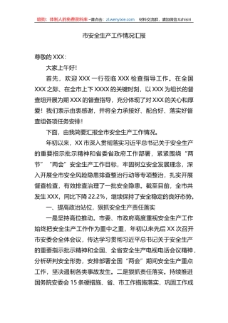 X市安全生产工作情况汇报