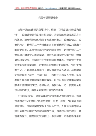 党委书记调研报告