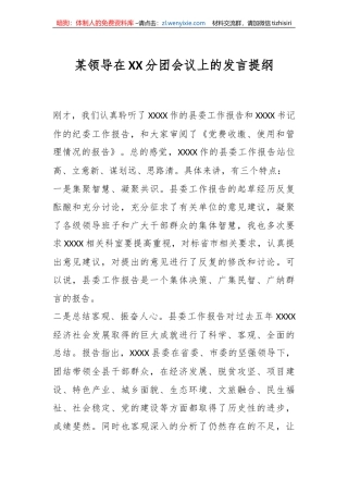 某领导在XX分团会议上的发言提纲