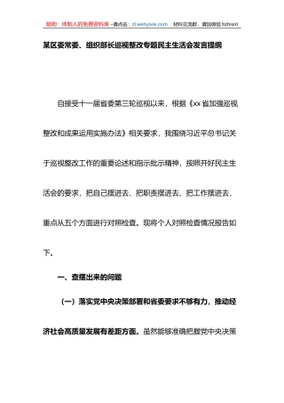 区委常委、组织部长巡视整改专题民主生活会发言提纲