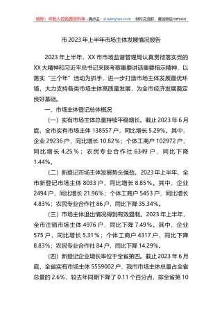 市2023年上半年市场主体发展情况报告(总结）