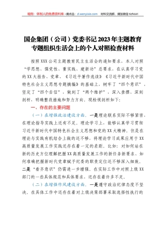 国企集团（公司）党委书记2023年主题教育专题组织生活会上的个人对照检查材料