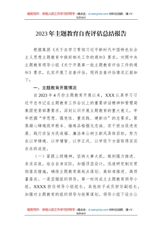 2023年主题教育自查评估总结报告