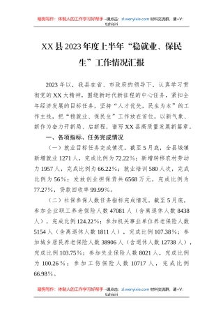 XX县2023年度上半年“稳就业、保民生”工作情况汇报
