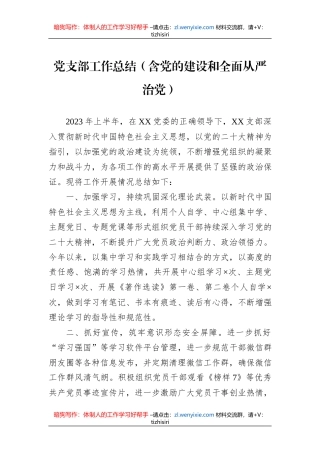党支部工作总结（含党的建设和全面从严治党）