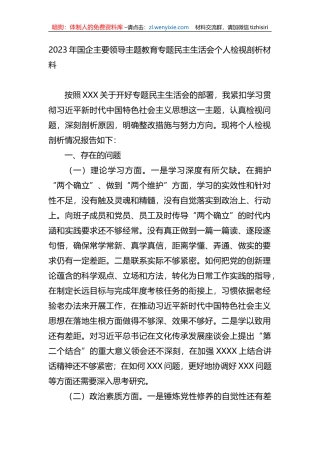 2023年国企主要领导xx教育专题民主生活会个人检视剖析材料