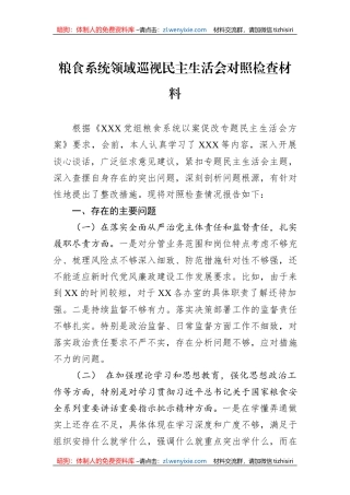 粮食系统领域巡视民主生活会对照检查材料
