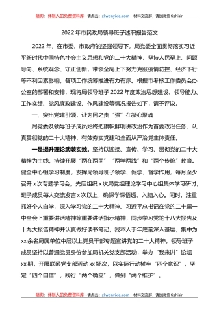 2022年市民政局领导班子述职报告范文