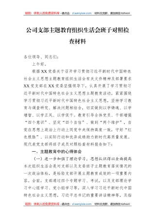 公司支部主题教育组织生活会班子对照检查材料
