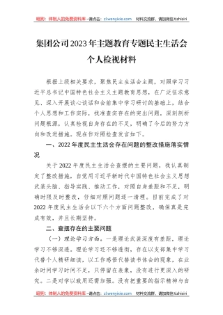 集团公司2023年主题教育专题民主生活会个人检视材料