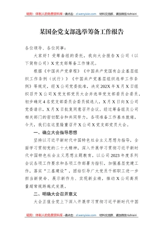 某国企党支部选举筹备工作报告