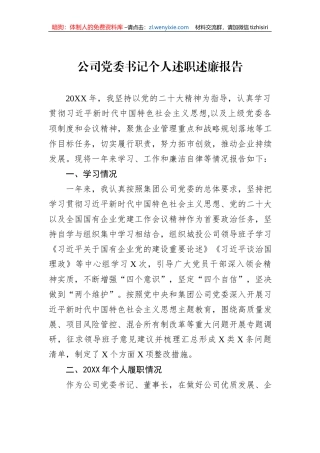 公司党委书记个人述职述廉报告