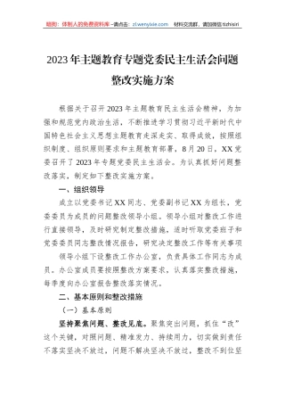 2023年主题教育专题党委民主生活会问题整改实施方案