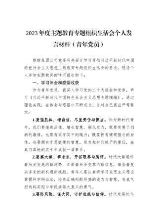 2023年度主题教育专题组织生活会个人发言材料（青年党员）