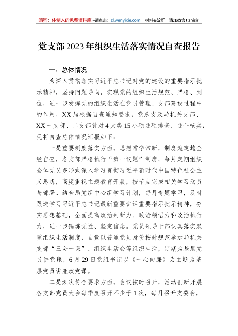 党支部2023年组织生活落实情况自查报告_第1页
