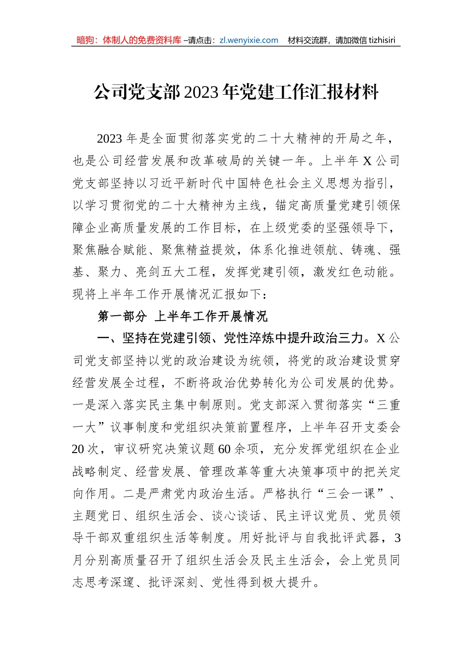 公司党支部2023年党建工作汇报材料_第1页