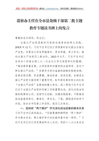 巡察办主任在全市县处级干部第二批主题教育专题读书班上的发言