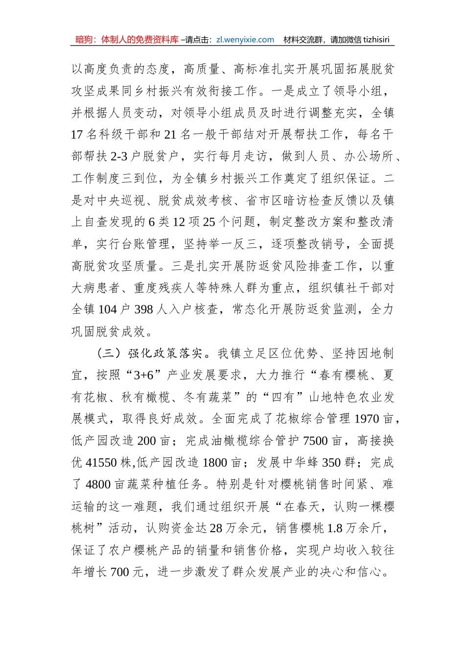 乡镇行乡村振兴工作第一责任人职责情况报告_第2页