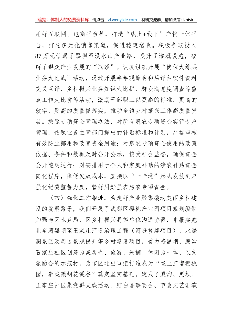 乡镇行乡村振兴工作第一责任人职责情况报告_第3页