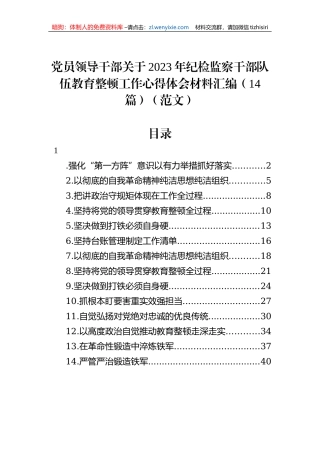 党员领导干部关于2023年纪检监察干部队伍教育整顿工作心得体会材料汇编（14篇）