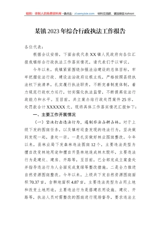 某镇2023年综合行政执法工作报告