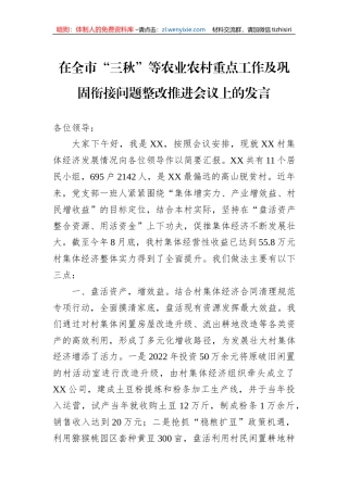 在全市“三秋”等农业农村重点工作及巩固衔接问题整改推进会议上的发言
