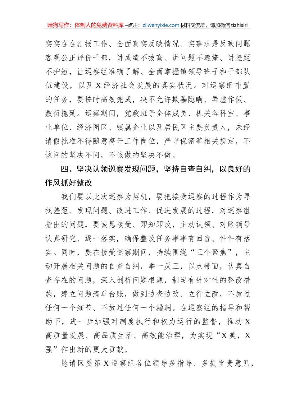 在2023年镇巡察工作动员会上的表态发言_第3页