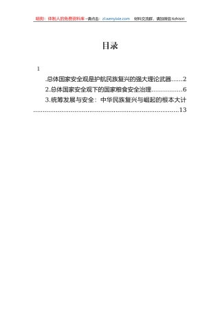 总体国家安全观是护航民族复兴的强大理论武器