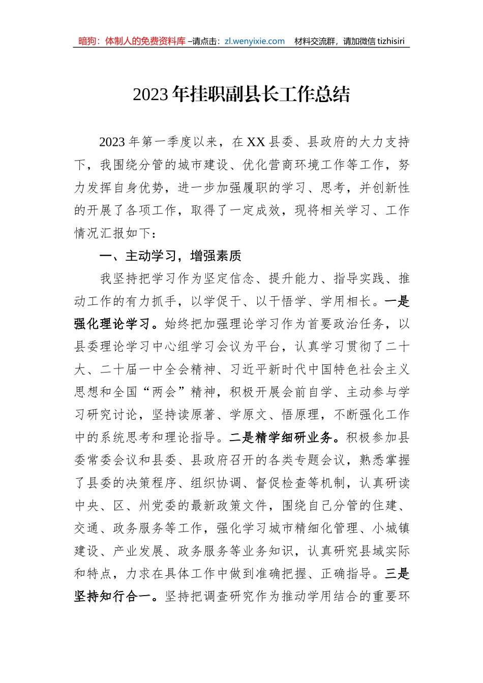 2023年挂职副县长工作总结_第1页