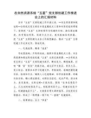 “五星”党支部创建推进会汇报：“五星”党支部创建工作推进会上的汇报材料