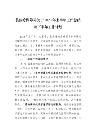 2023年上半年工作总结：县医疗保障局关于2023年上半年工作总结及下半年工作计划