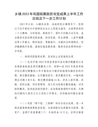 2023年上半年工作总结：乡镇2023年巩固拓展脱贫攻坚成果上半年工作总结及下一步工作计划