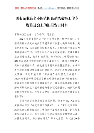 国有企业在全市国资国企系统巡察工作专题推进会上的汇报发言材料