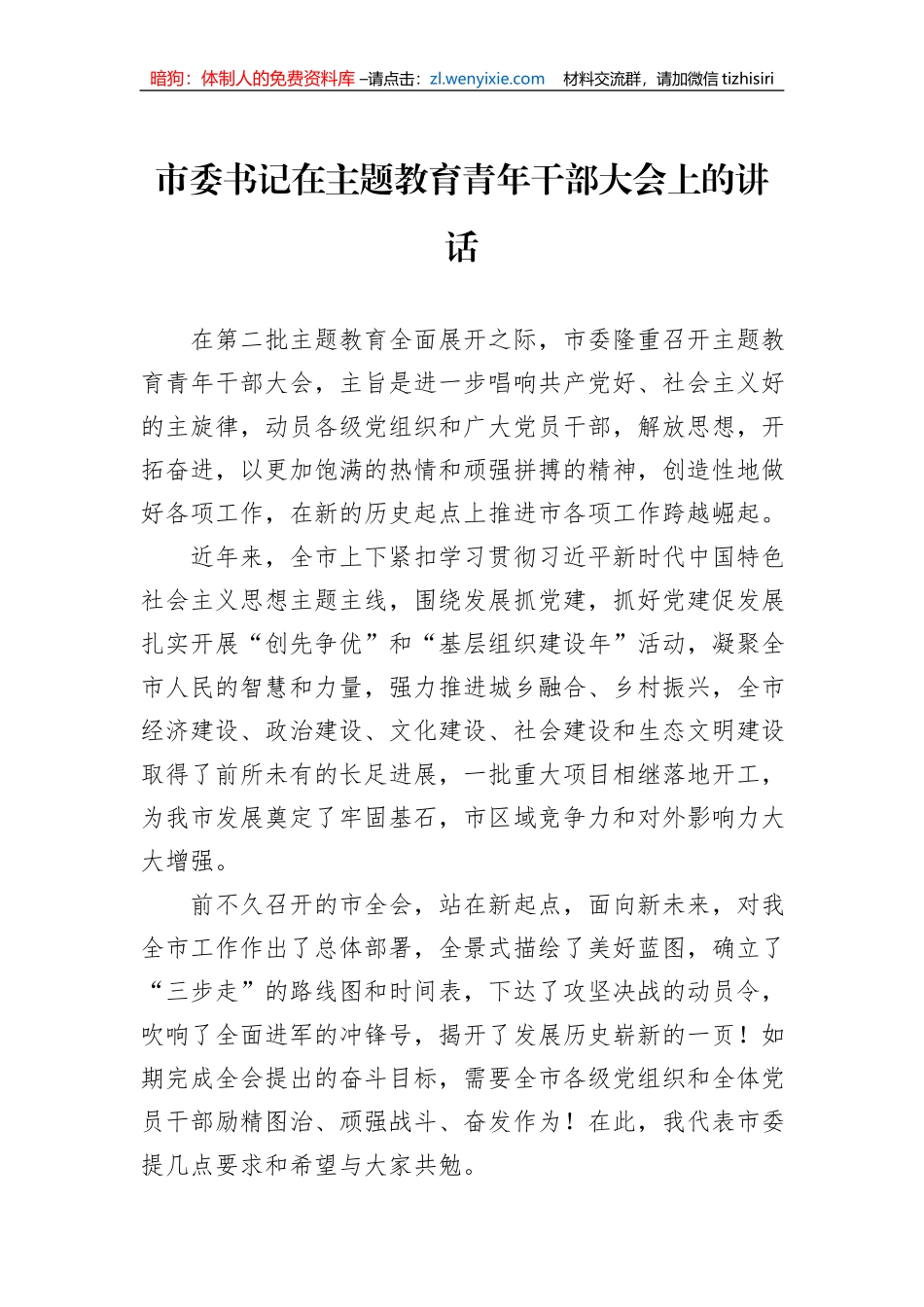 市委书记在主题教育青年干部大会上的讲话_第1页