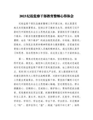 2023纪检监察干部教育整顿心得体会