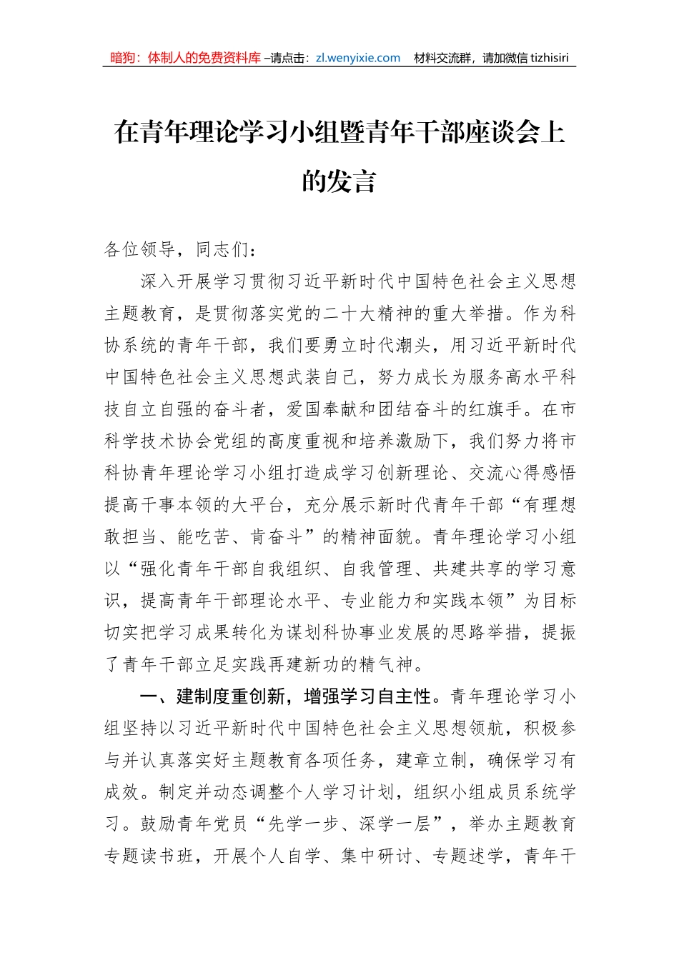 在青年理论学习小组暨青年干部座谈会上的发言_第1页