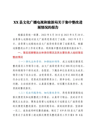 XX县文化广播电视和旅游局关于集中整改进展情况的报告