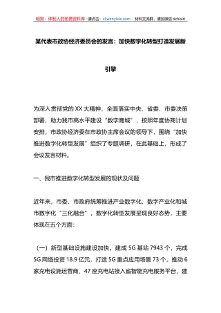 某代表市政协经济委员会的发言：加快数字化转型打造发展新引擎