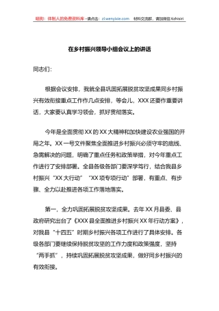 在乡村振兴领导小组会议上的讲话