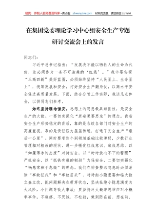在集团党委理论学习中心组安全生产专题研讨交流会上的发言