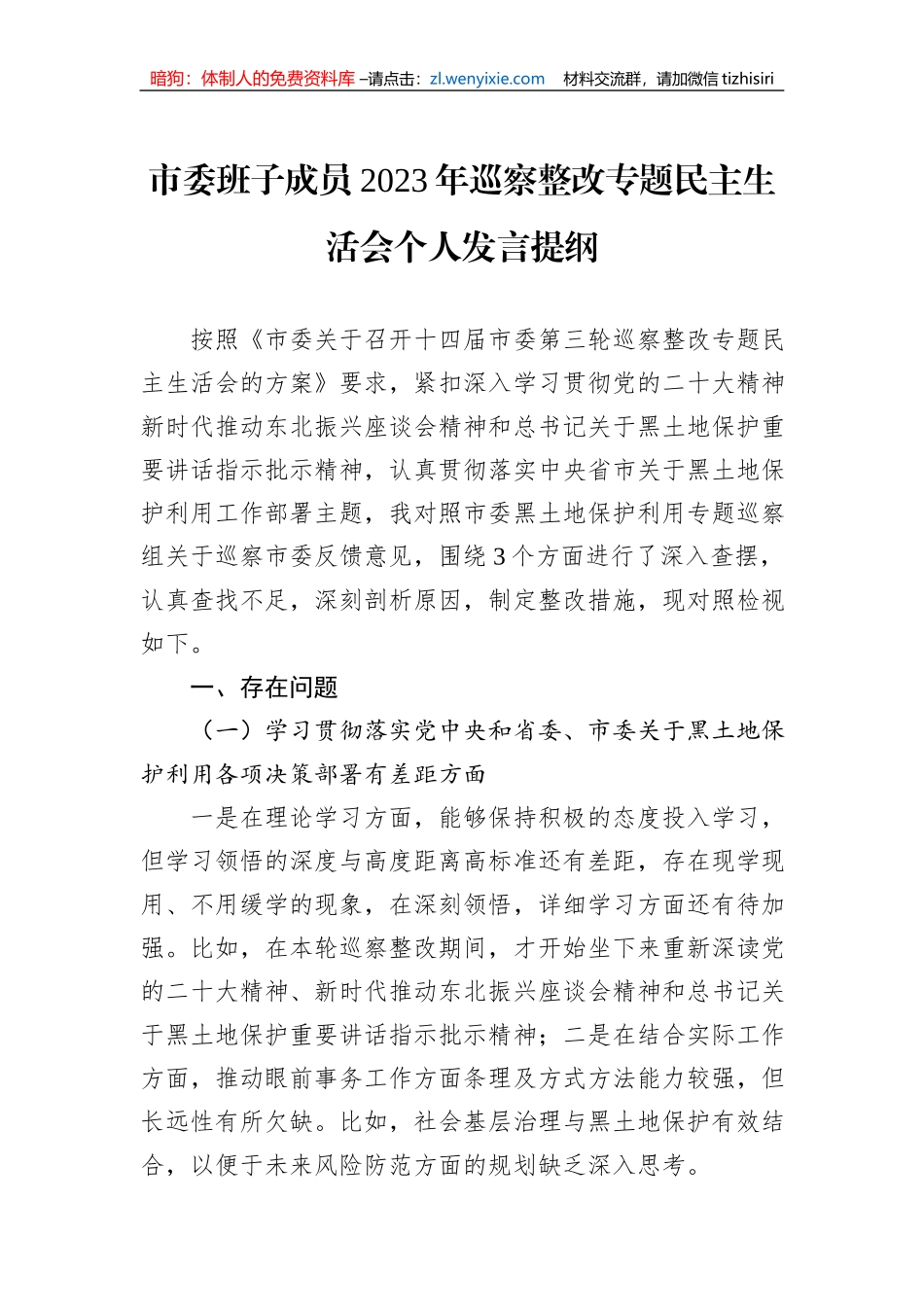 市委班子成员2023年巡察整改专题民主生活会个人发言提纲_第1页
