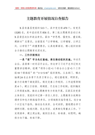 主题教育开展情况自查报告