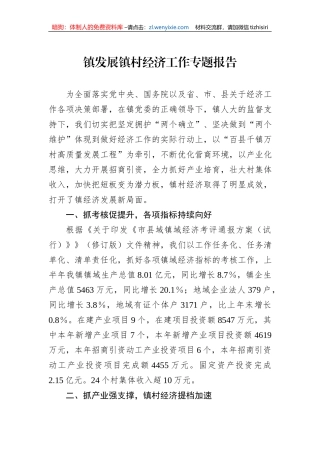 镇发展镇村经济工作专题报告