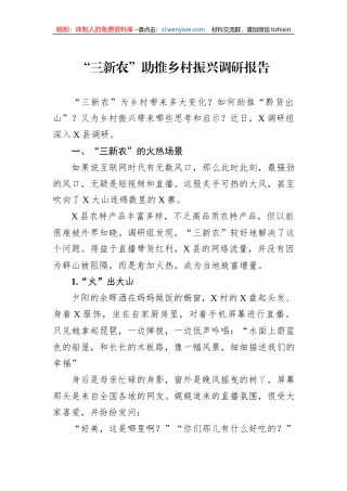 “三新农”助推乡村振兴调研报告
