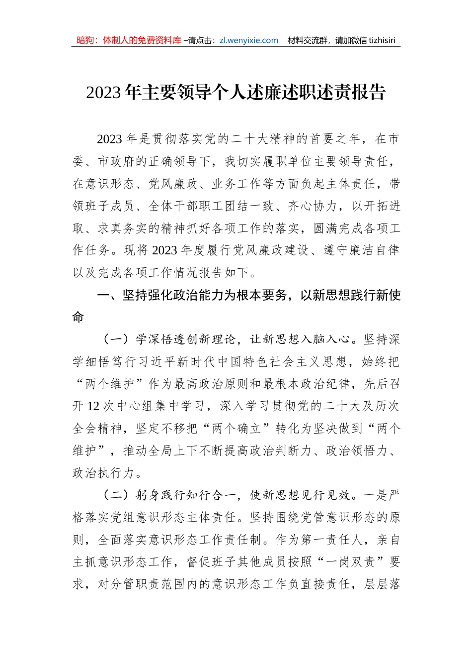 2023年主要领导个人述廉述职述责报告_第1页