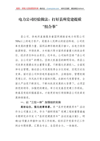 电力公司经验做法：打好县所党建提质“组合拳”