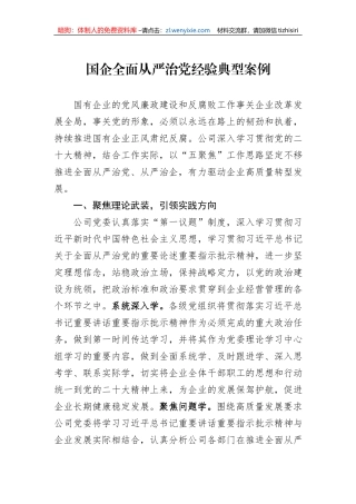 国企全面从严治党经验典型案例1