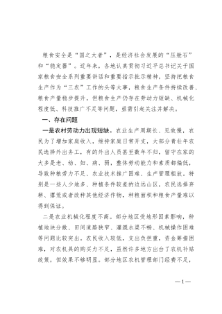 保障粮食安全生产调研报告