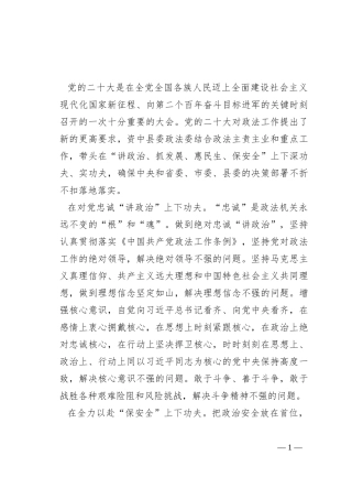 常委政法委书记中心组研讨发言：下深功夫实功夫 不折不扣推动党的决策部署落地落实