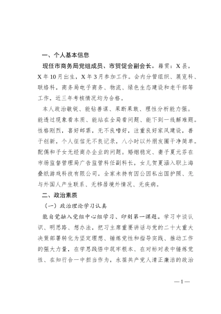 个人廉政情况自评画像